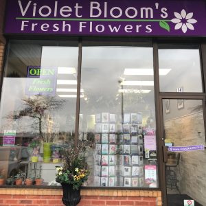 Violet Blooms Fresh Flowers Pickering