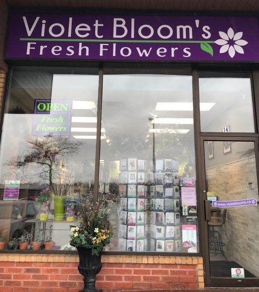 Violet Blooms Fresh Flowers Pickering