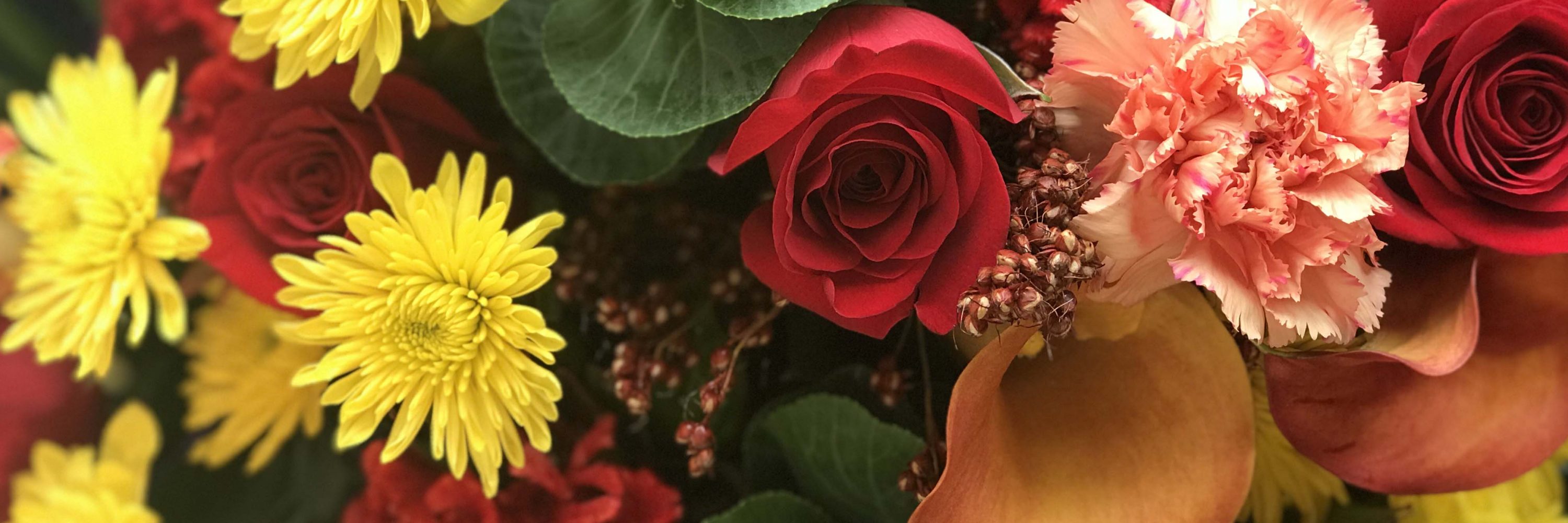 Violet Blooms, Pickering Flower Shops, Florist Pickering Durham Flowers