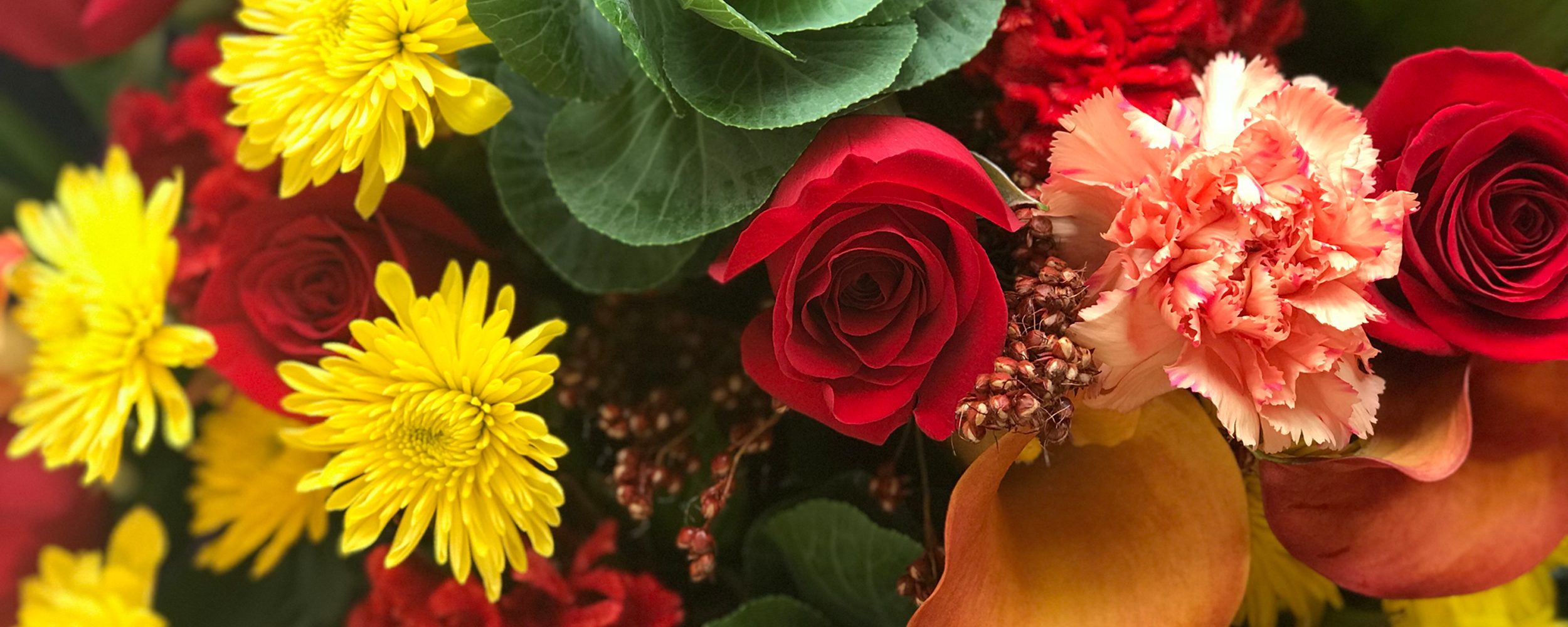 Fall Banner