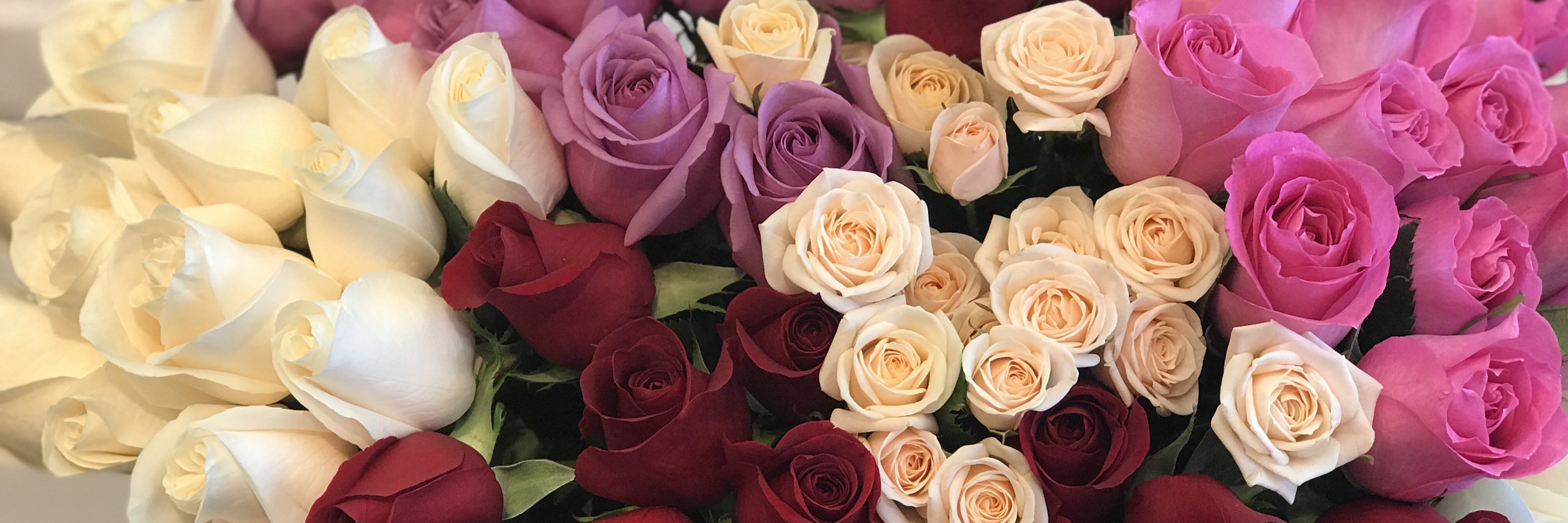 Zehrs Uxbridge Flowers Best Flower Site